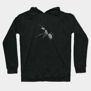 Carpenter Ant Hoodie